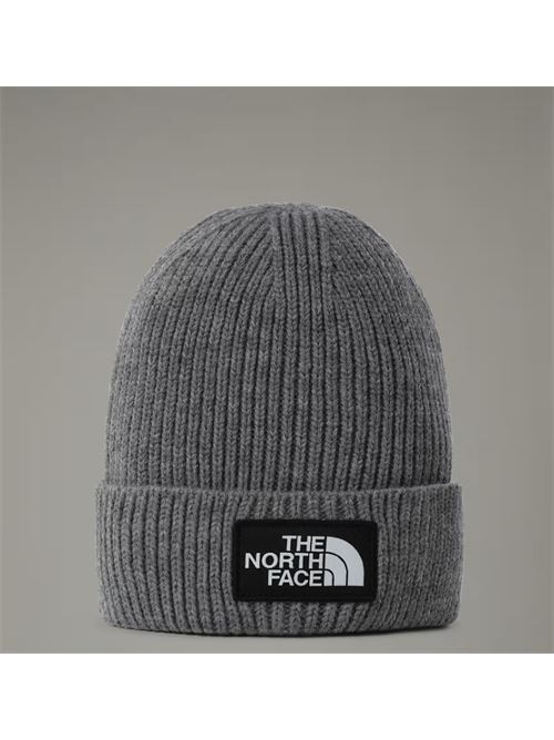 tnf logo box THE NORTH FACE | NF0A3FJXDYY1